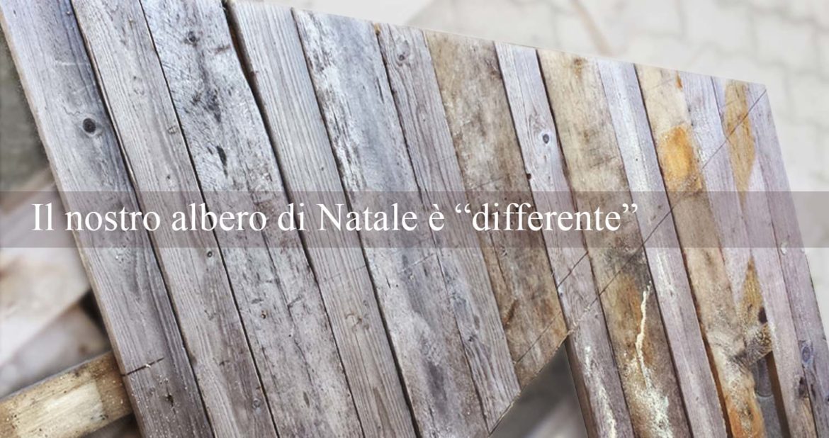 Il nostro albero di Natale è “differente”