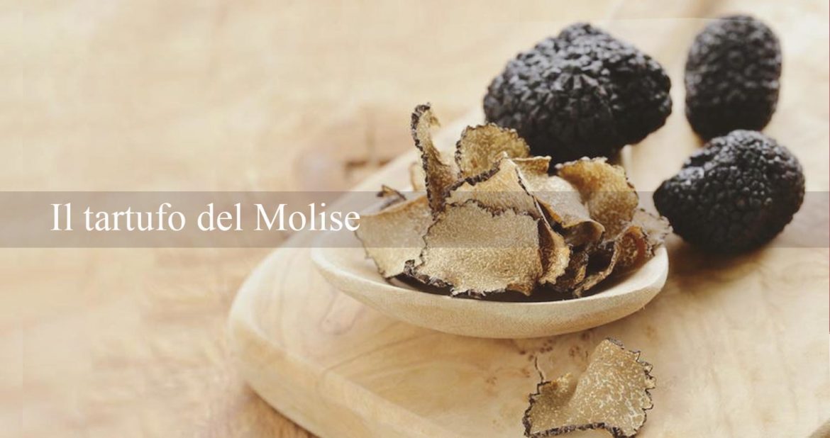 Il tartufo del Molise