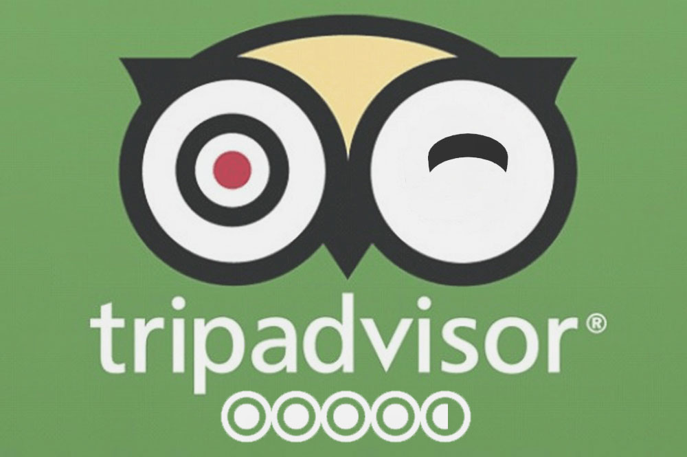 TripAdvisor è un social media: benefici e controindicazioni