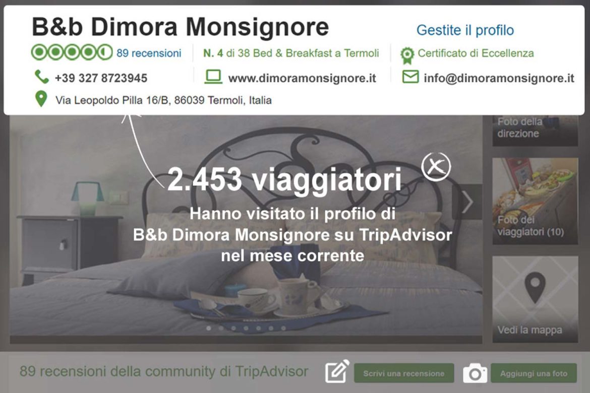 TripAdvisor è un social media: benefici e controindicazioni