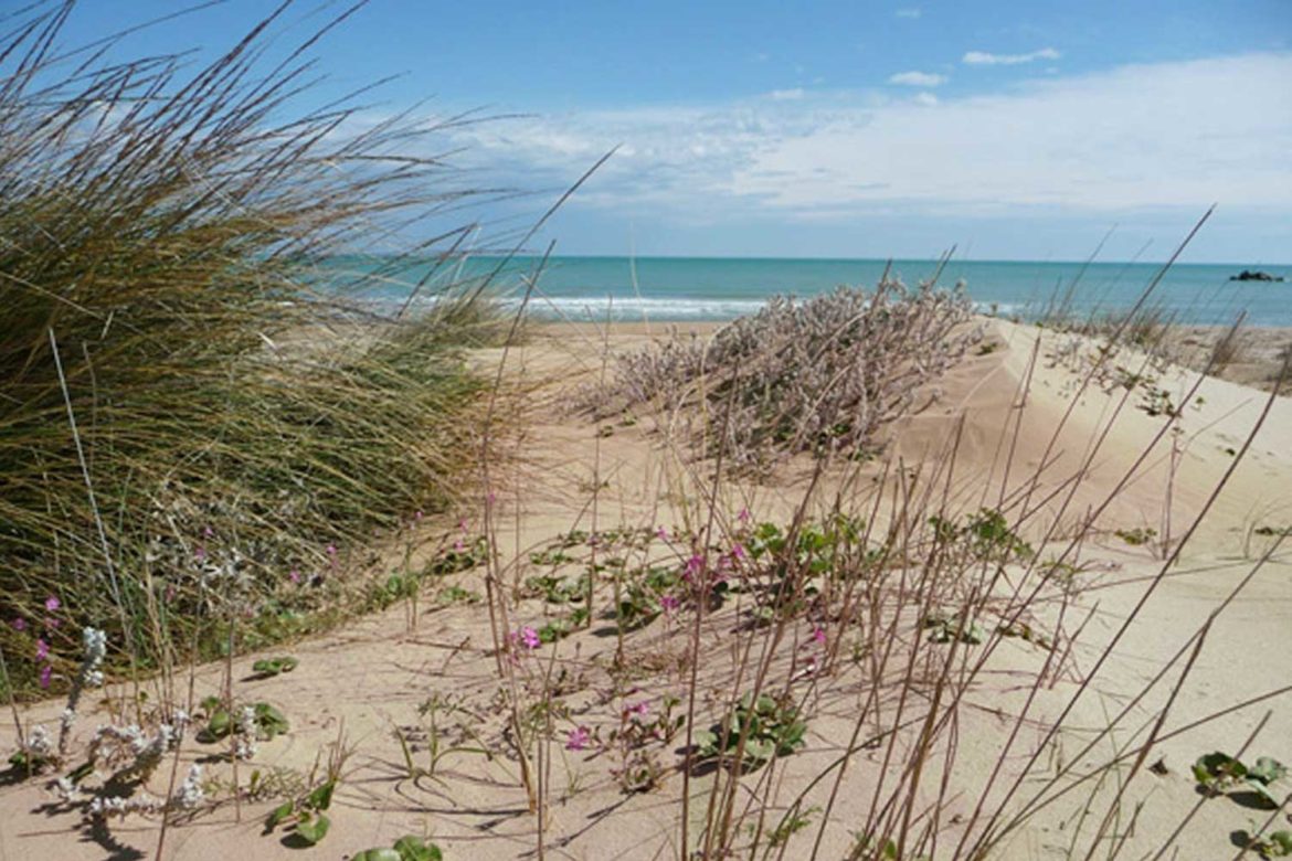 Le spiagge più belle del Molise