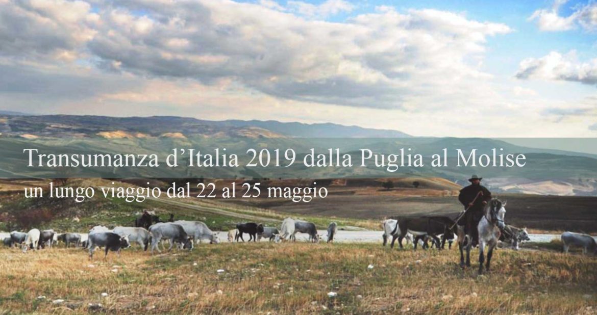 Transumanza dalla Puglia al Molise