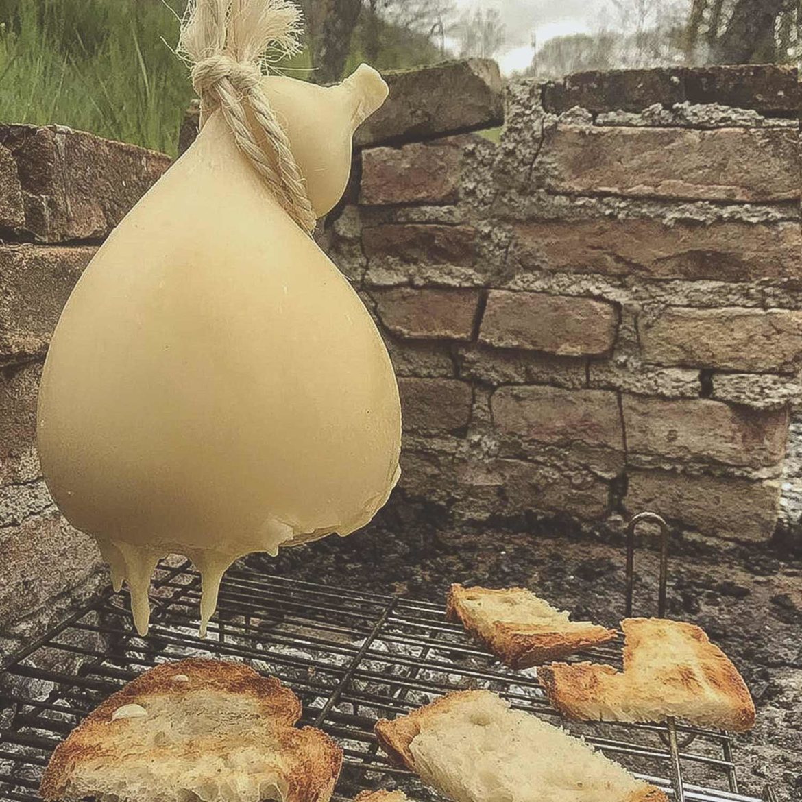 Il formaggio del Molise: il Caciocavallo